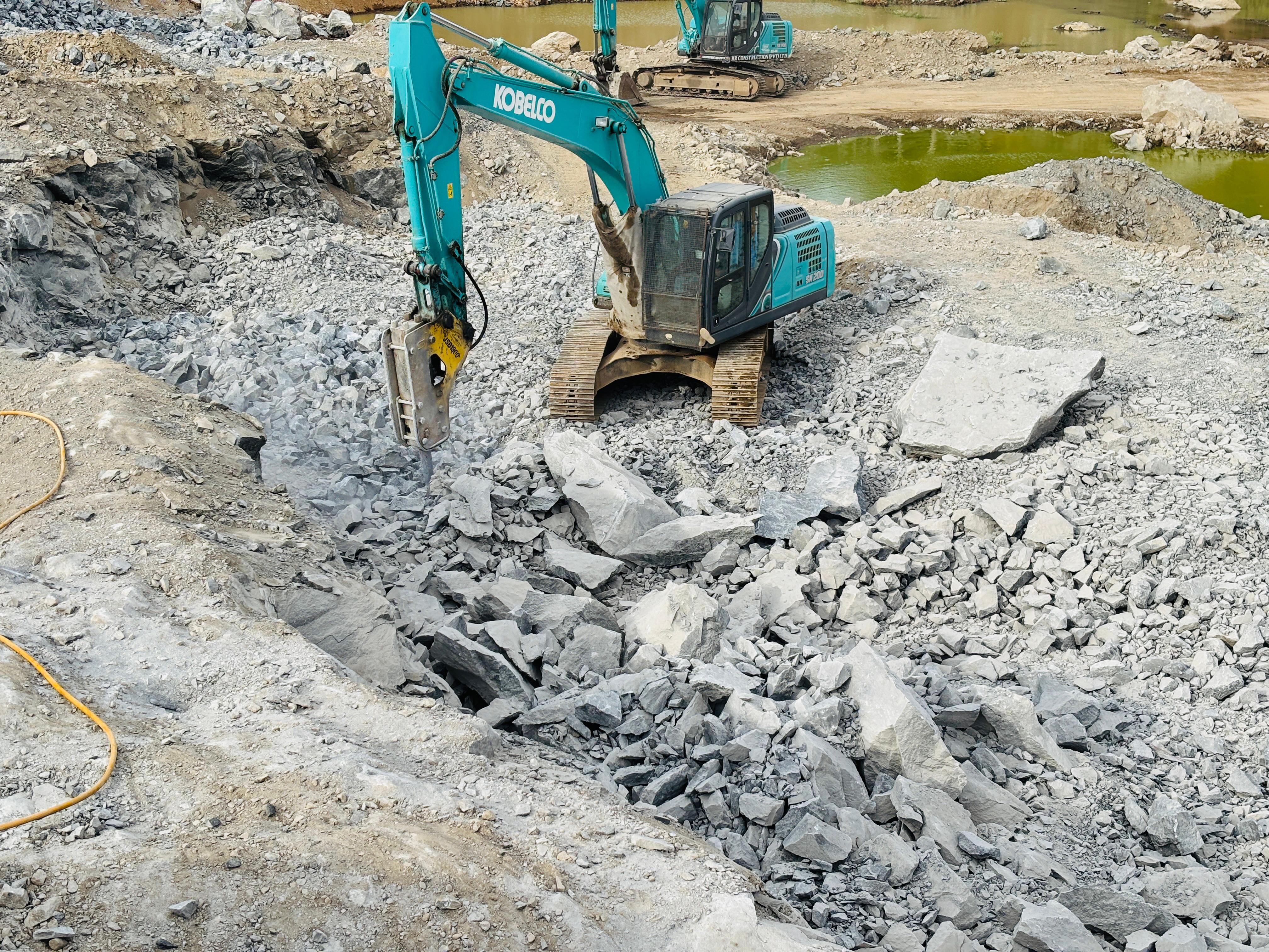 Omanthai Plant
