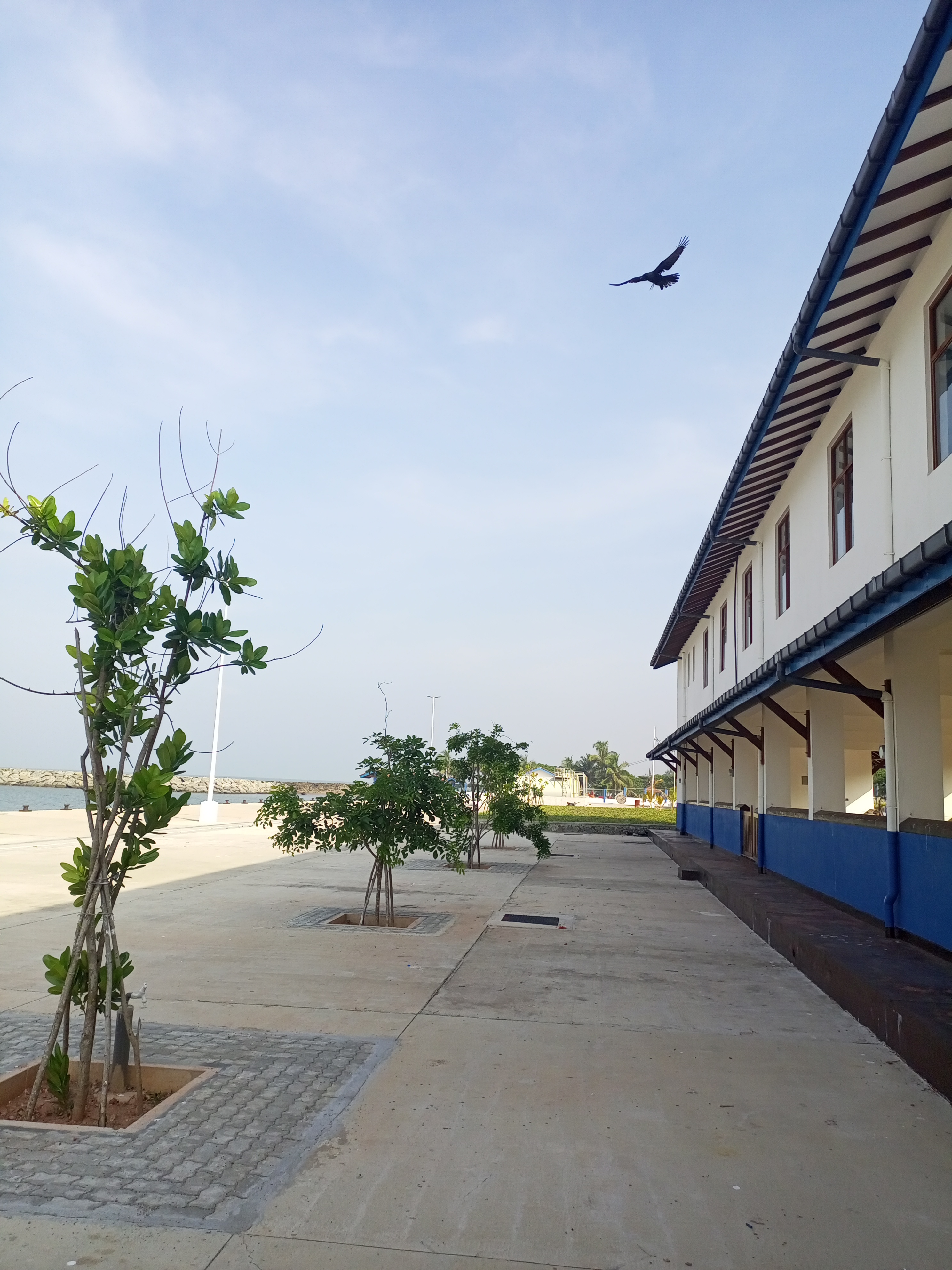 Construction of Fishery Harbor at Wellamankara Wennappuwa - Image 17