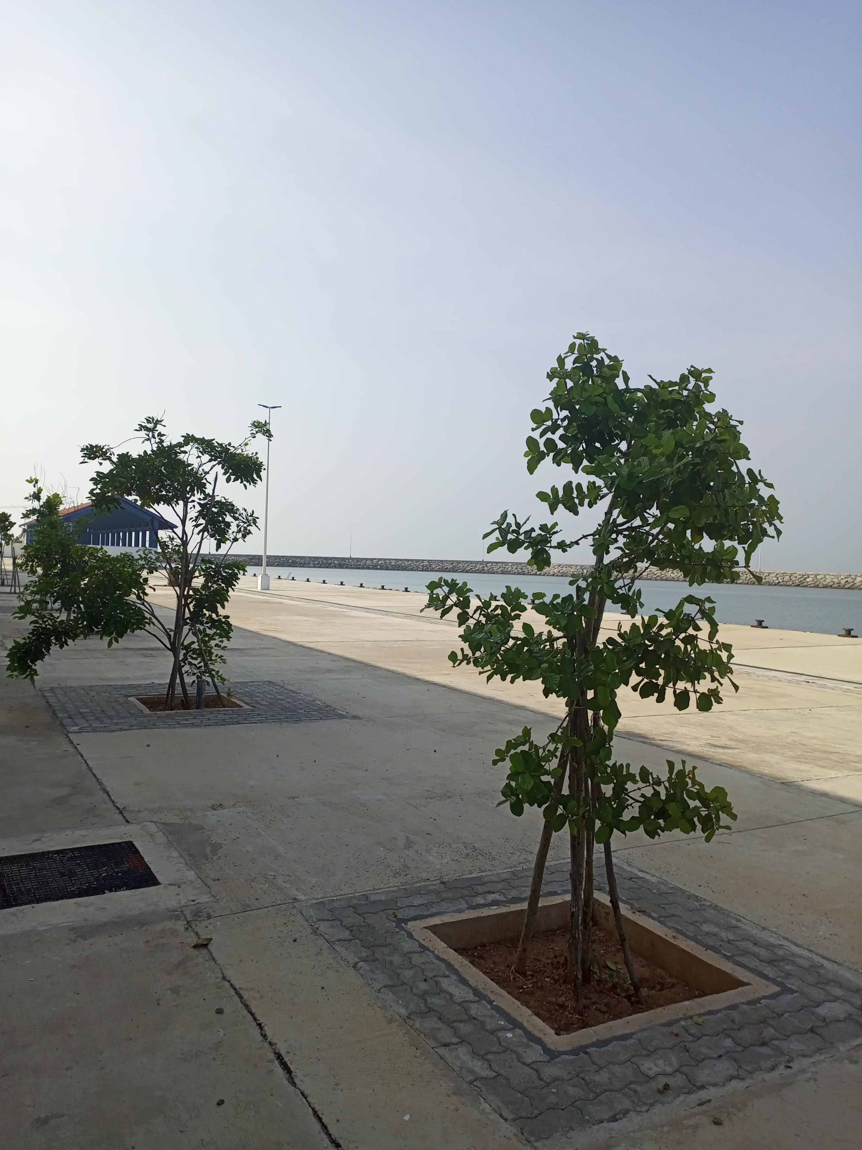 Construction of Fishery Harbor at Wellamankara Wennappuwa - Image 27